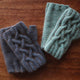 Wild Earth Yarns 「Alpine 8PLY Polwarth Possum」 50g