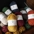 Wild Earth Yarns 「Alpine 8PLY Polwarth Possum」 50g